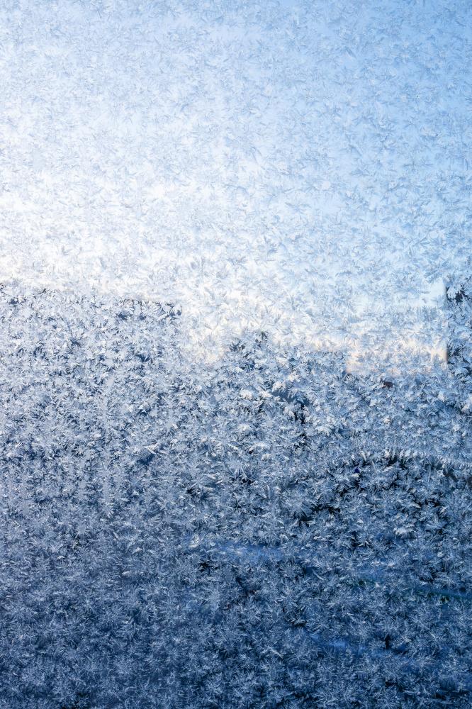 Common Sub-Zero Refrigerator Problems