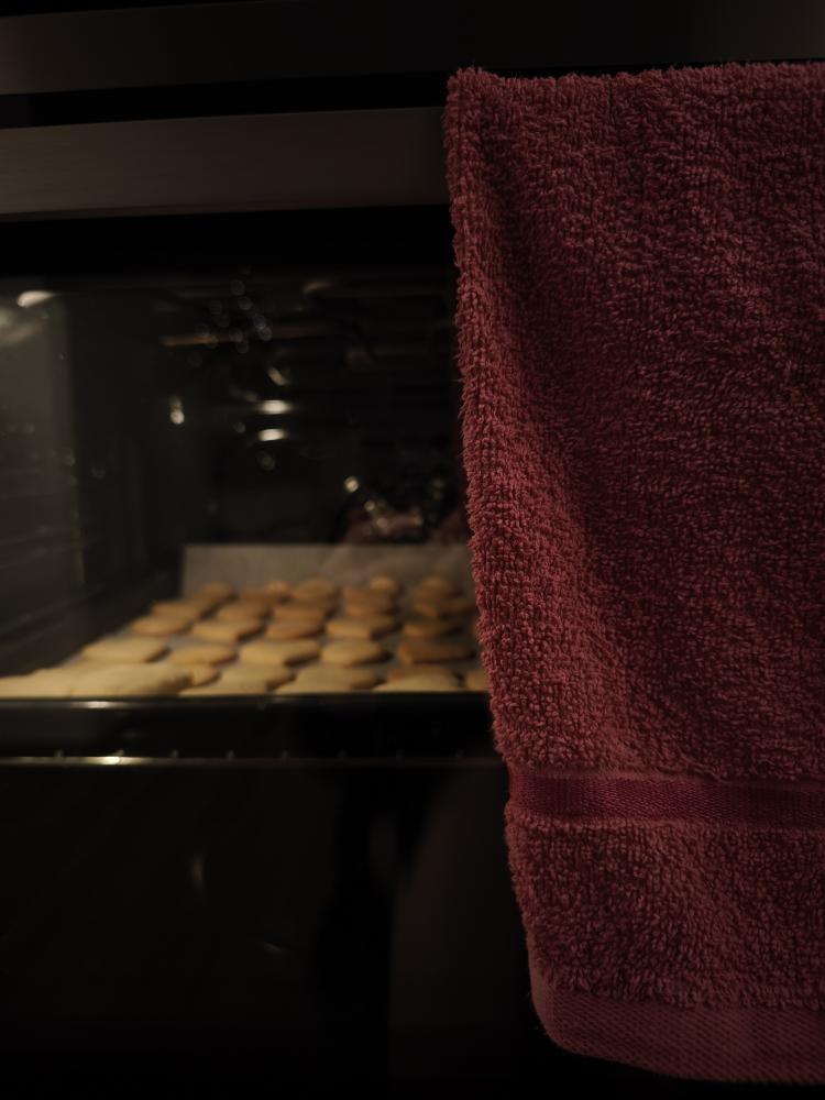 What Are Common Repair Needs for Viking Appliances in Sarasota?
