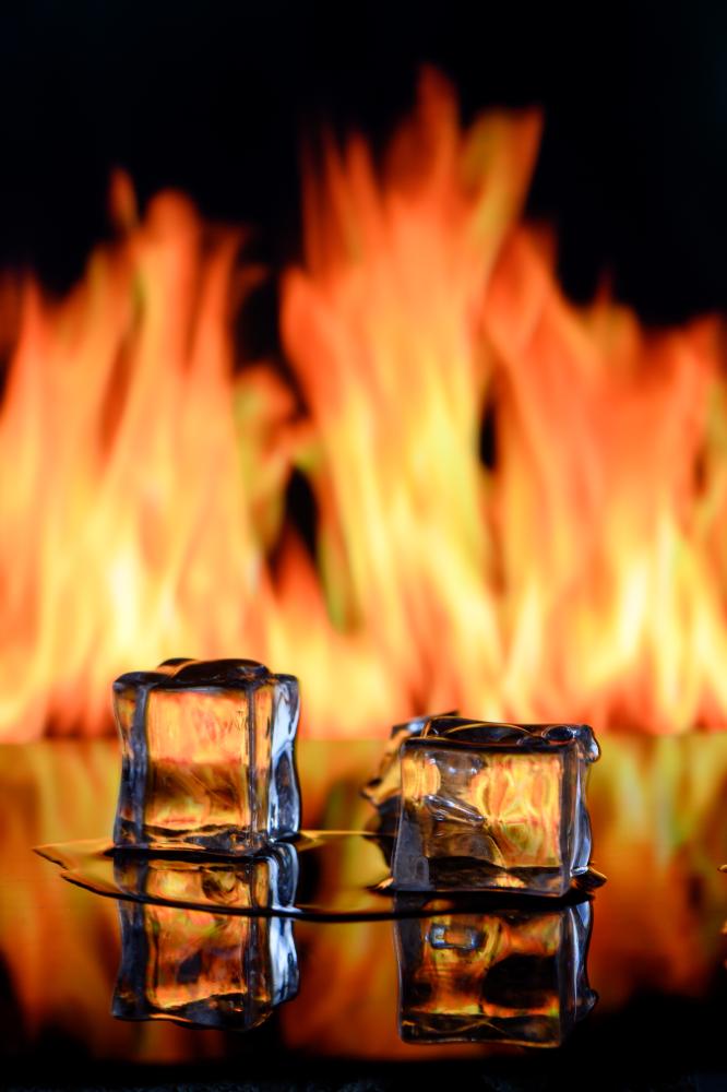 Why Sub Zero Appliances Matter in Your Home
