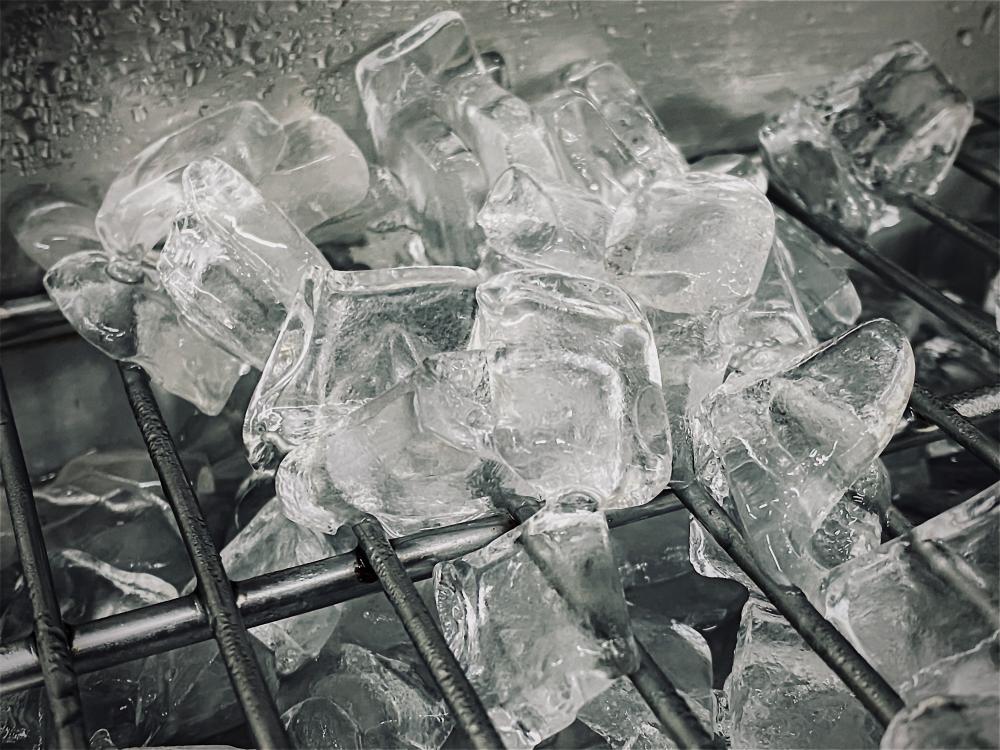 Essentials of Wine Cooler Maintenance