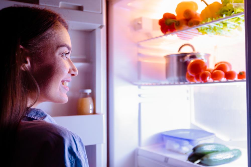Common Issues in Subzero Fridges