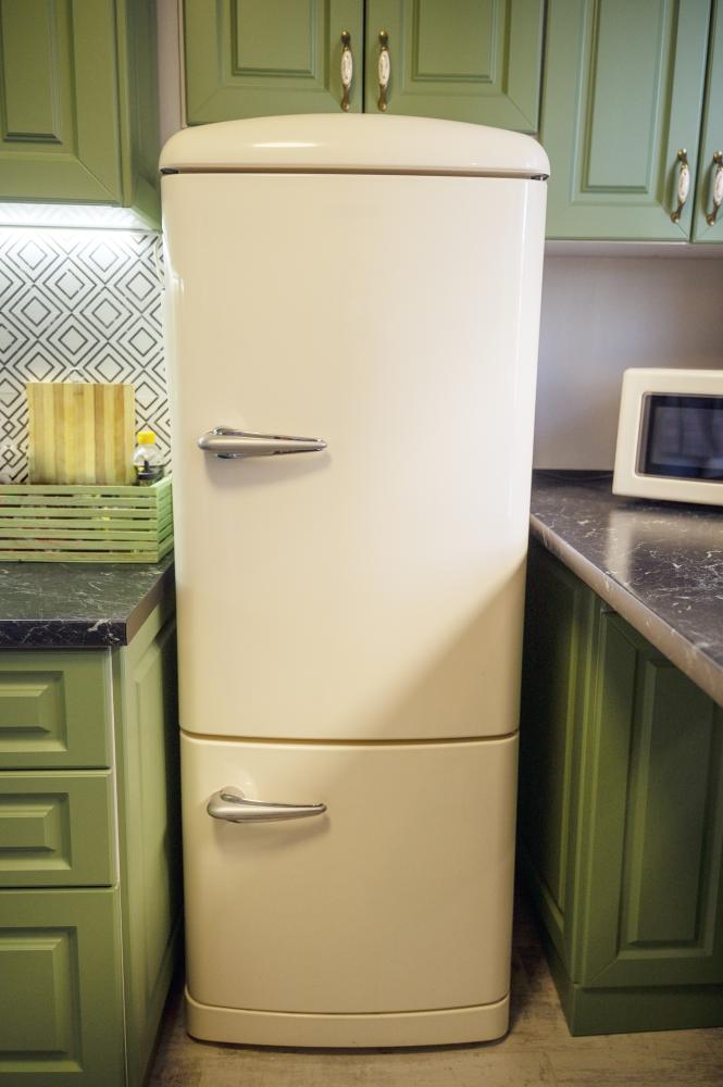 Why Choose Professional Repair Services for Your Viking Fridge?
