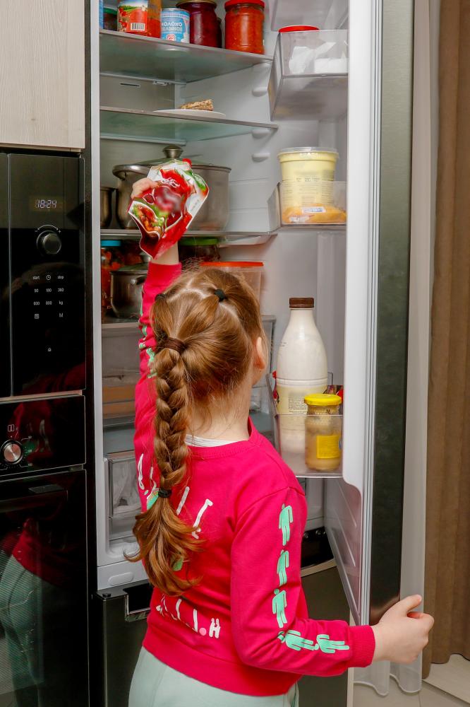 Common Viking Fridge Issues Solved