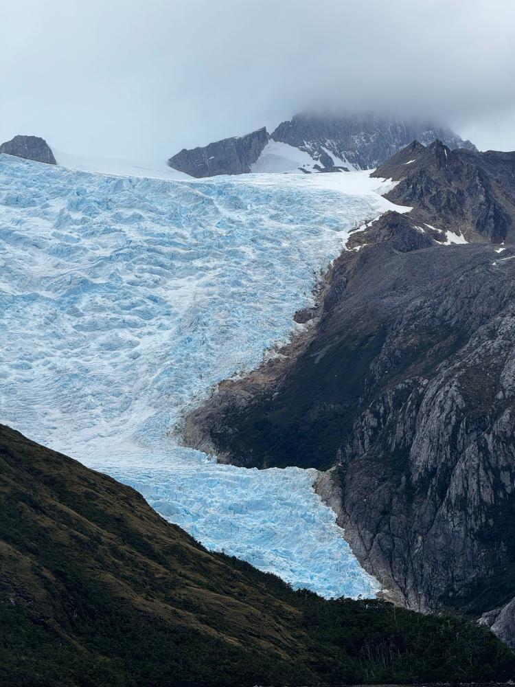 Why Choose Local Repair Services?