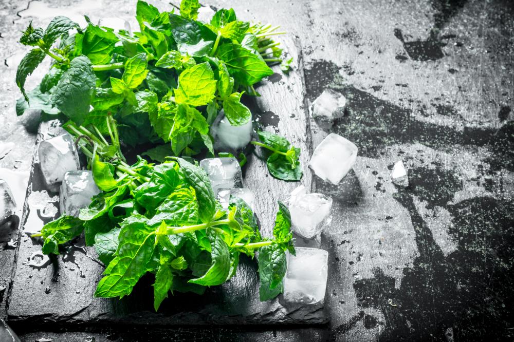Exploring Common Issues with Sub-Zero Refrigerators