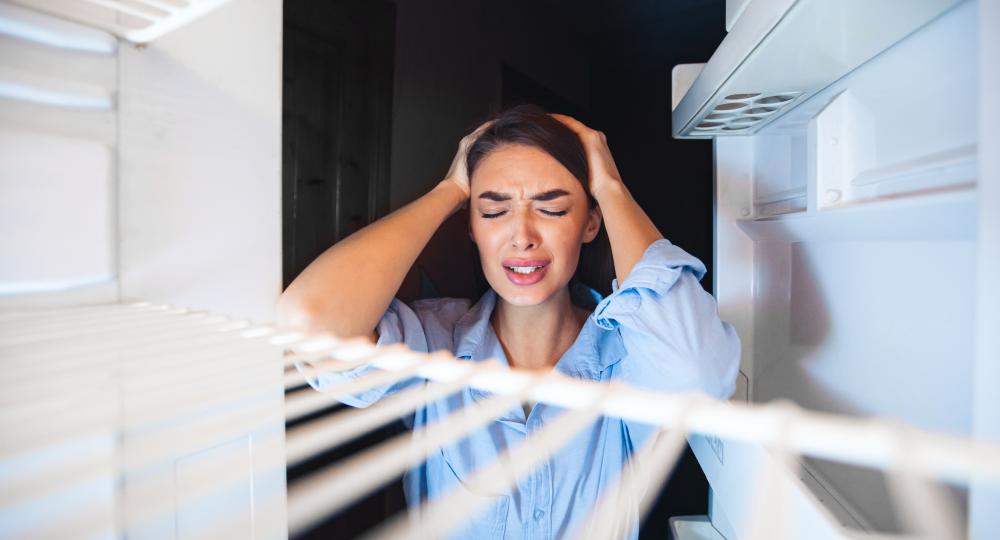 What Are Common Issues in Sub Zero Fridge Repair Wicker Park IL?