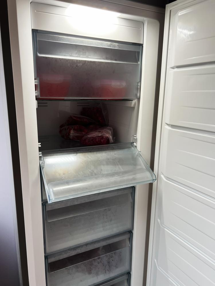 What Are Common Issues in Viking Fridges?