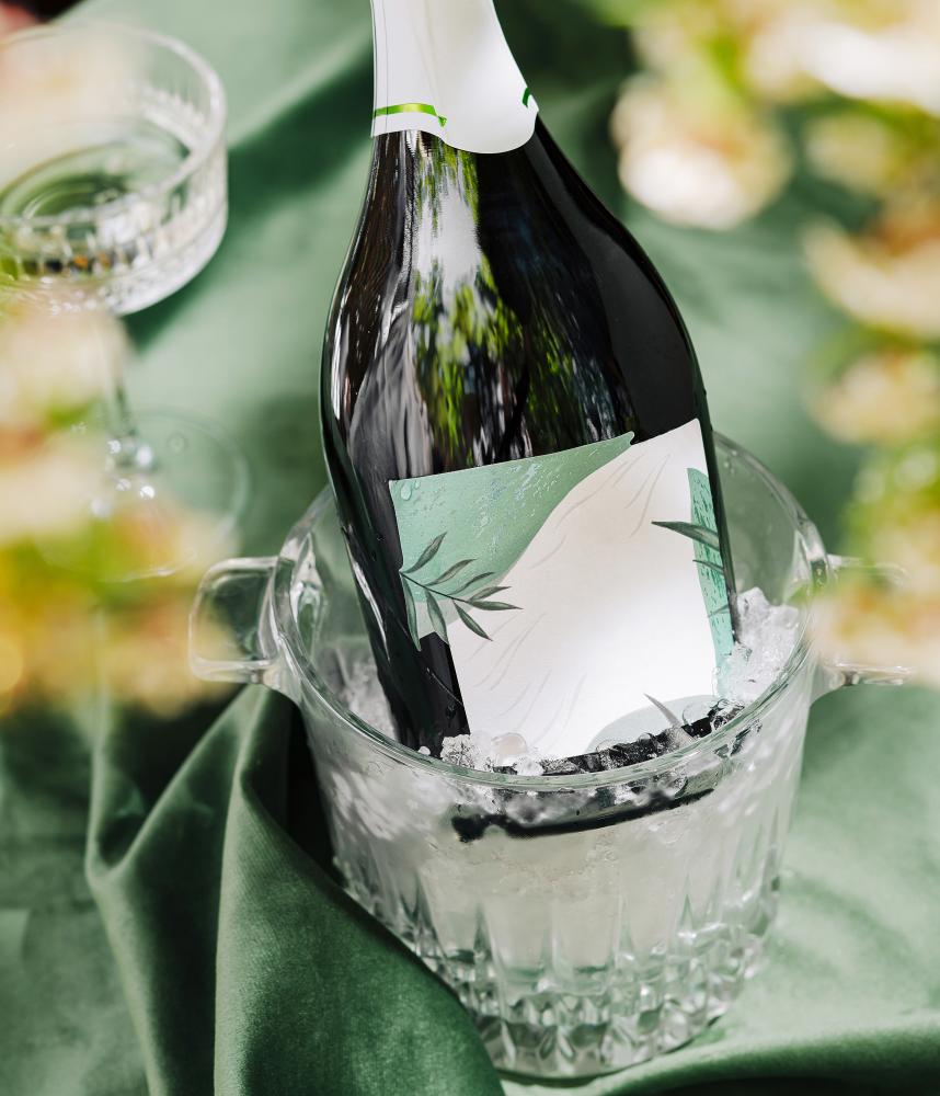 Why Choose Viking Wine Coolers?