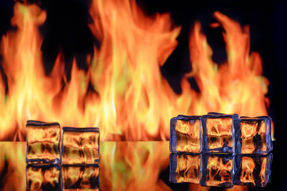 The Importance of Regular Maintenance for Viking Refrigerators