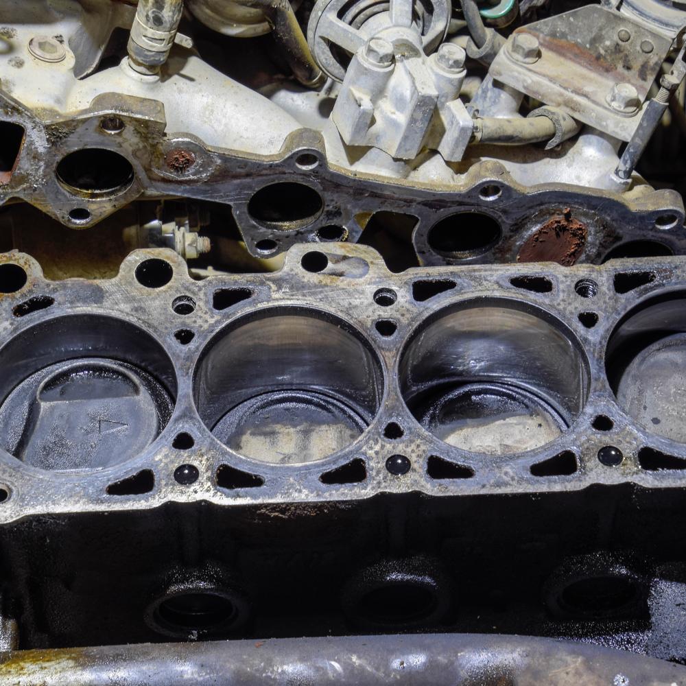 Common Wolf Appliance Issues