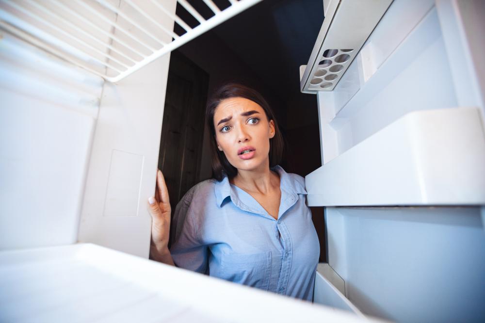 Why Choose Best Sub Zero Repair Scottsdale?