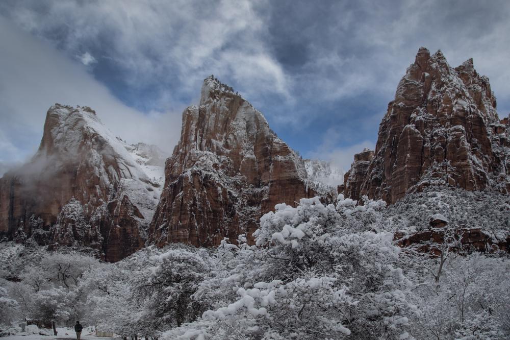 What Qualifies as a Sub Zero Refrigerator Repair Colorado Springs Emergency?