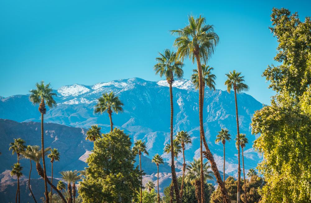 What Qualifies as a Sub Zero Refrigerator Repair Huntington Beach Emergency?