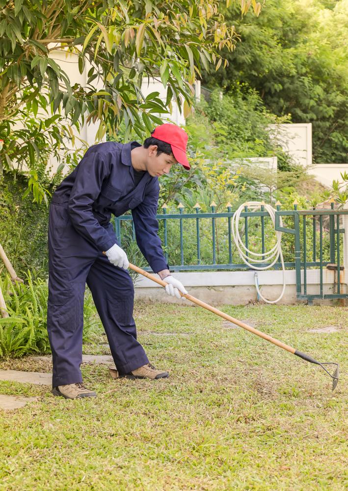 Sustainable Lawn Care Strategies
