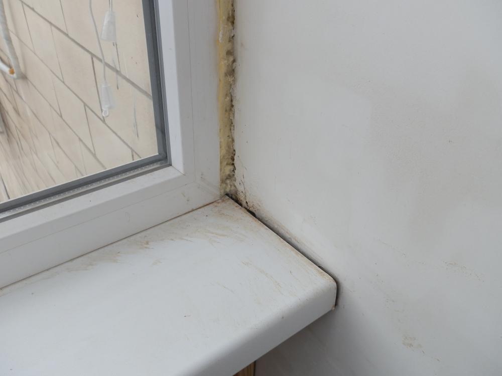 Expert Mold Remediation Process in Bel Air Home