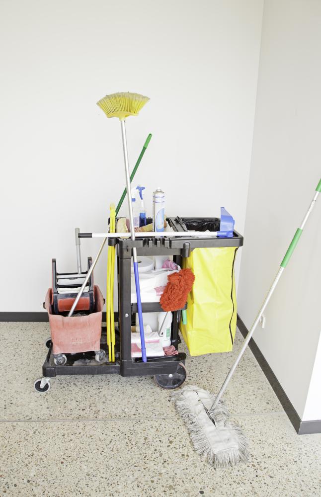 Importance of Professional Cleaning Services