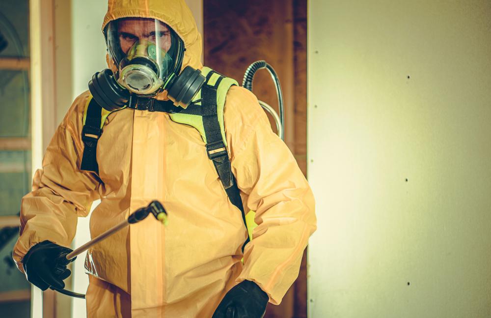 What Qualifies as an Emergency for Mold Cleanup Services Cary NC?