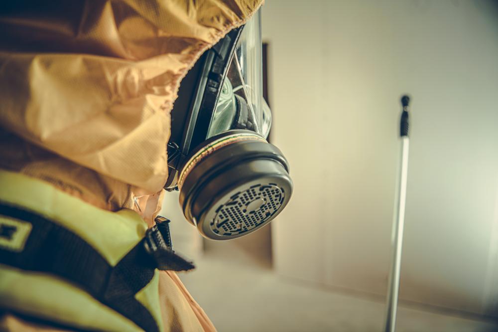 The Vital Role of Los Angeles CA Toxic Mold Attorneys