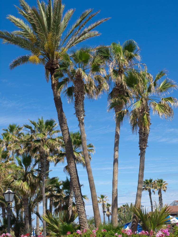 Why Choose Apollo Heating & Air Conditioning for AC Repair In Malibu CA?