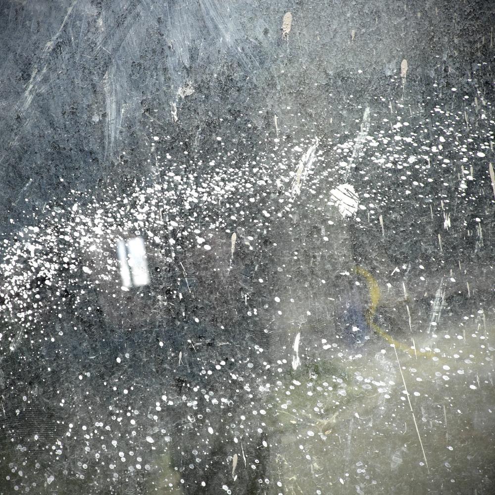 Common Signs of a Mold Problem