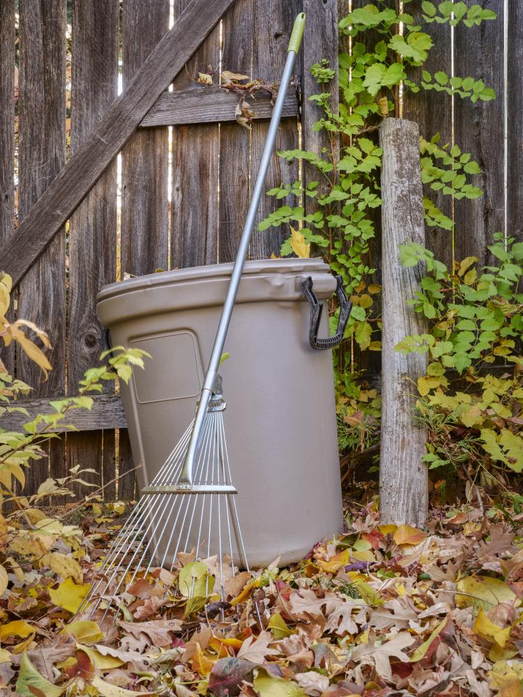 How Much Does It Cost to Rent a Dumpster in Tempe?