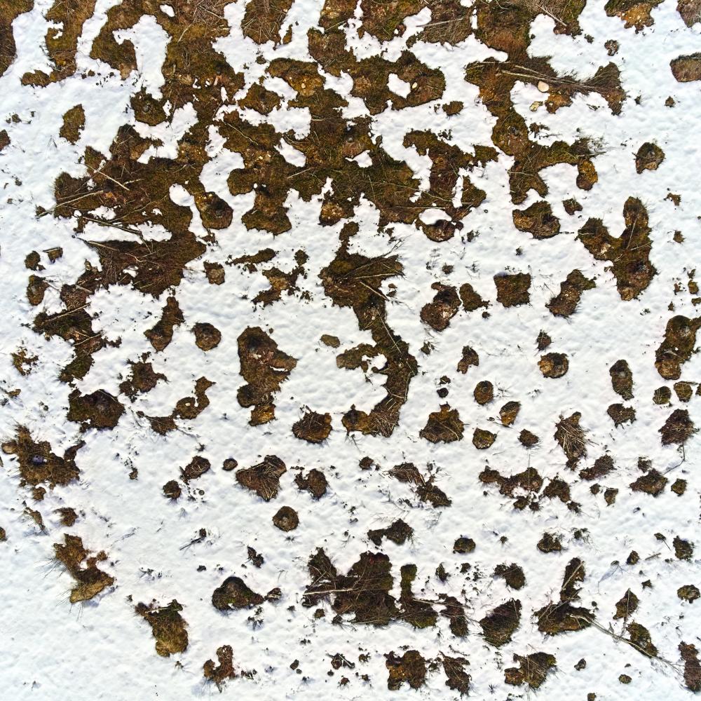 Why Professional Help is Essential for Mold Removal Fairfield CT