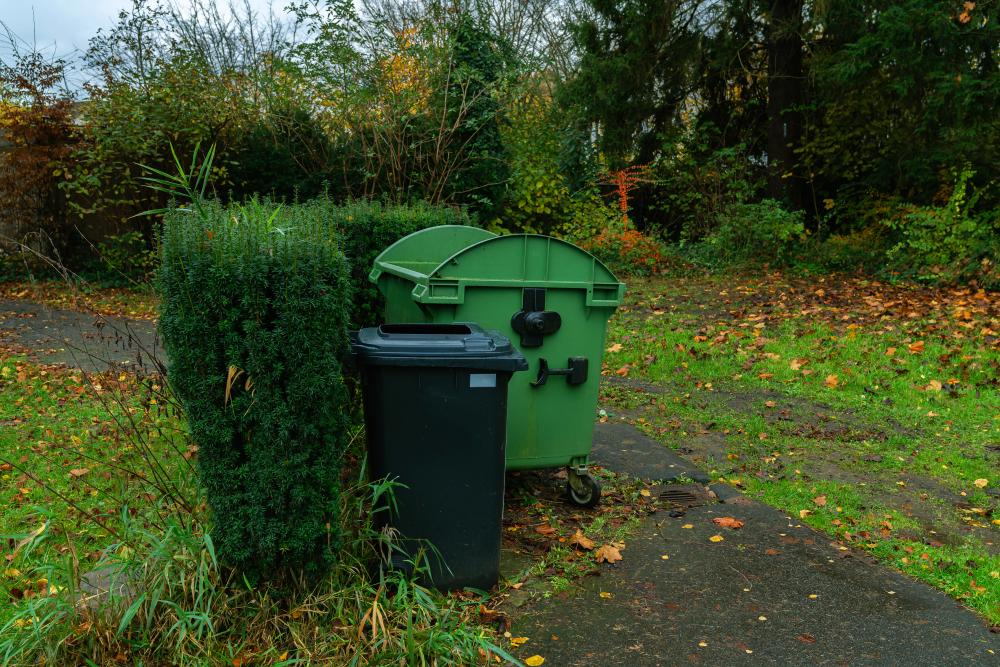 How to Rent a Dumpster for Your Glendale Residence