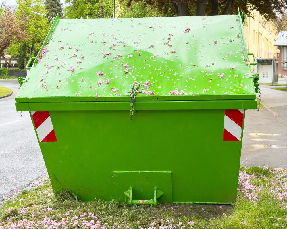 Expert Insights into Dumpster Rental Processes