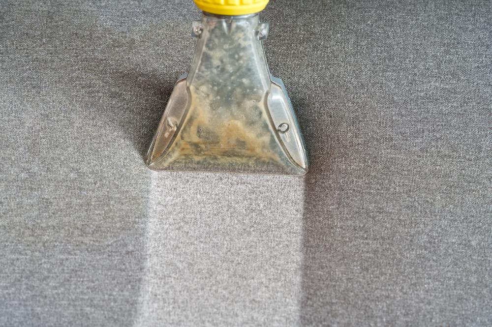 Advanced Carpet Cleaning Techniques