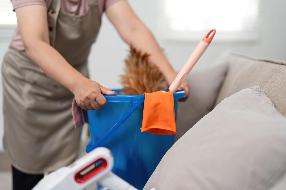 Unique Aspects of Porter Services Offered by Ahlers