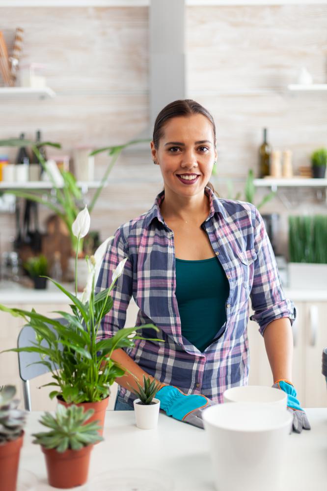 Services That Transform Your Space