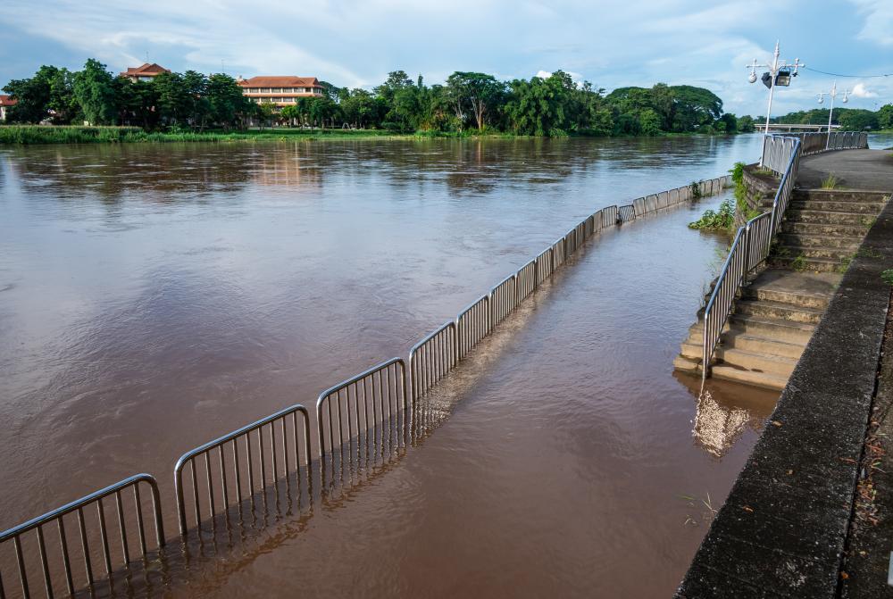 Professional Insights into the Restoration Process