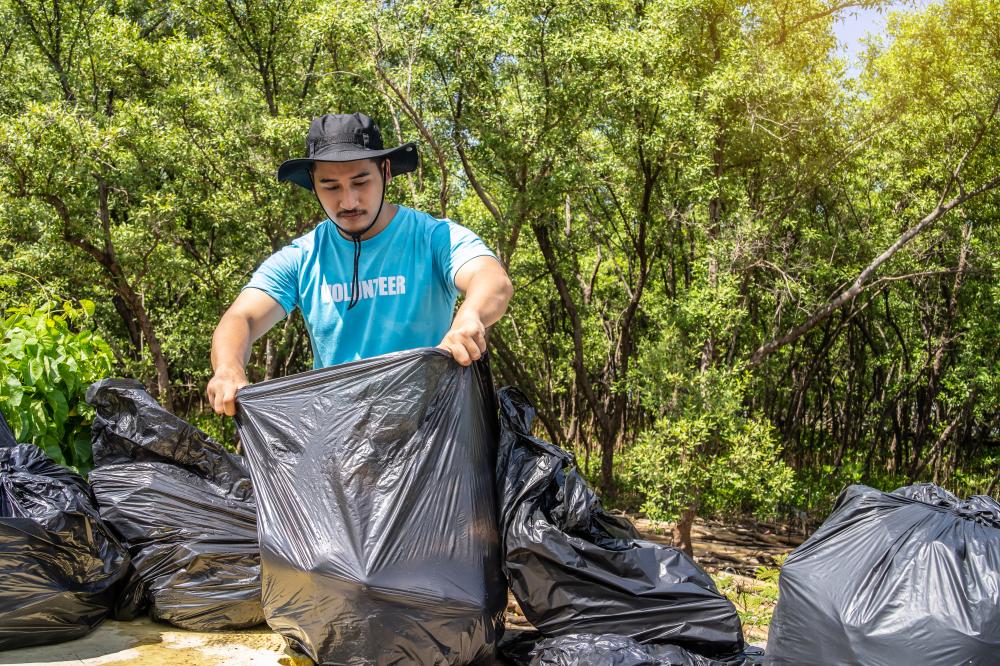 How to Choose the Right Dumpster Size