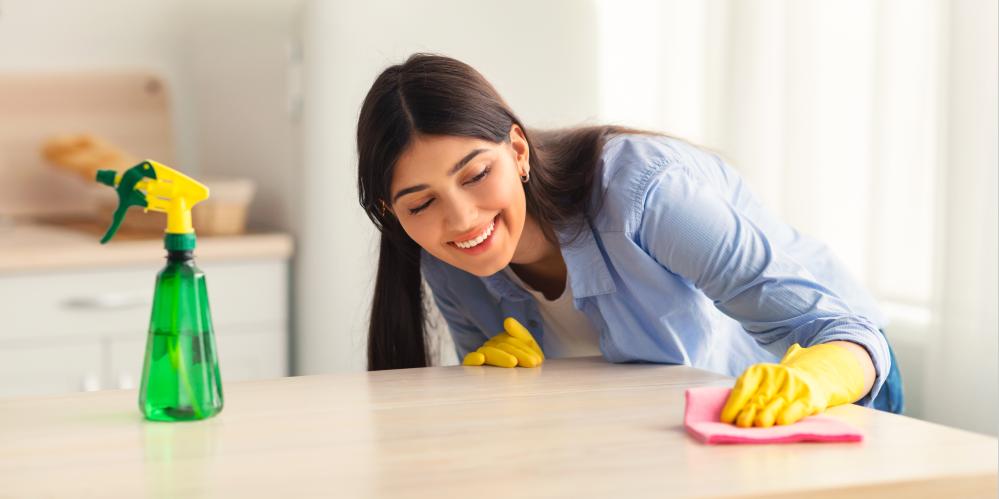 Why Choose Professional Cleaning Services?