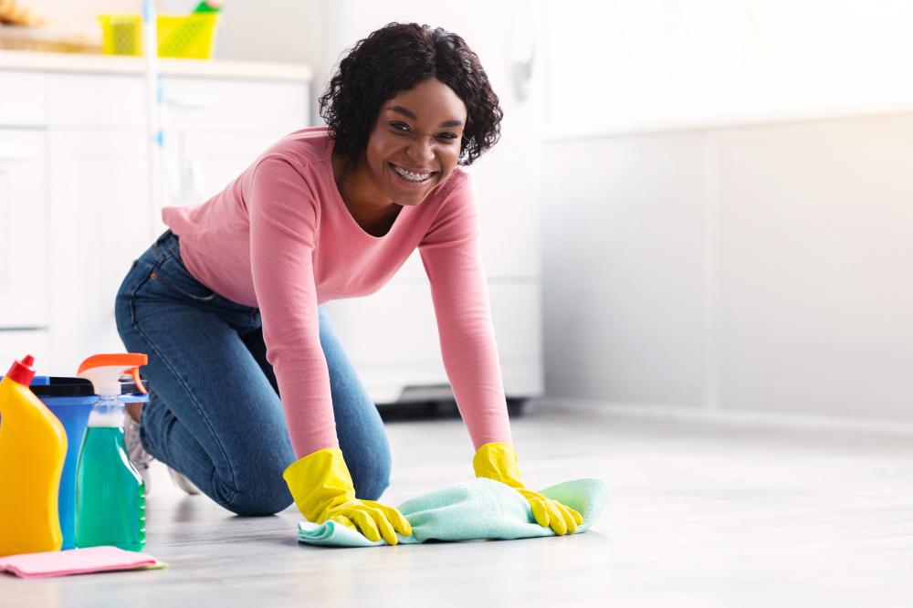 Professional Cleaning Services