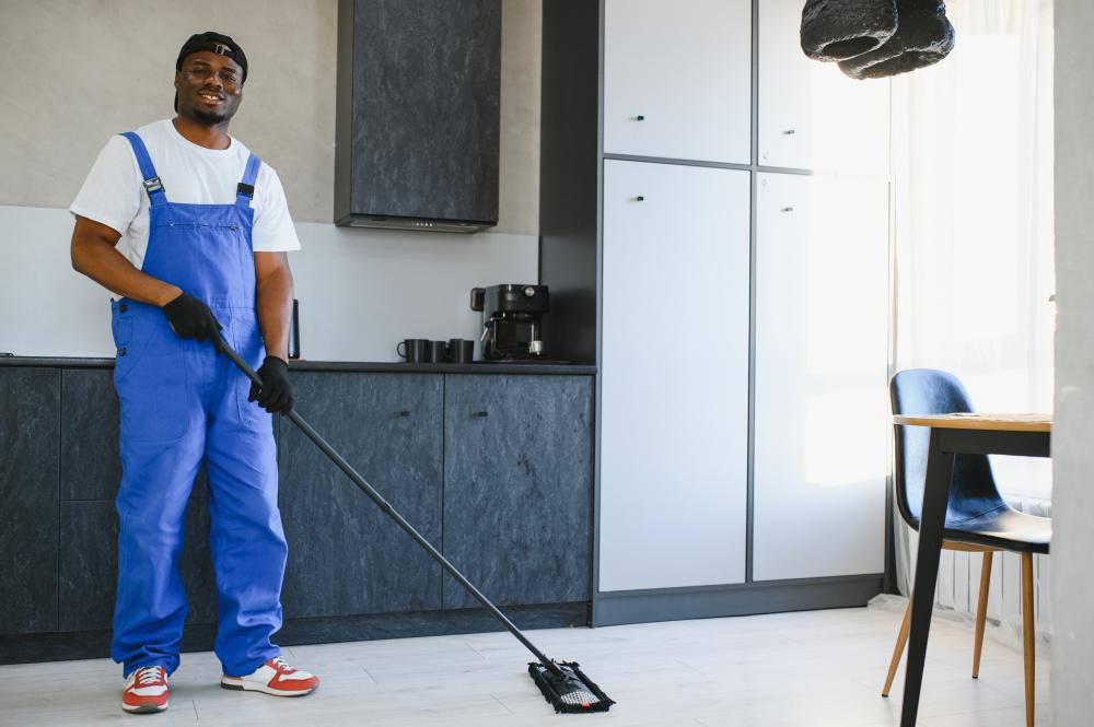 Expert Strategies for Effective Cleaning