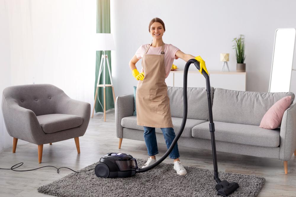 Comprehensive Carpet Care Strategies
