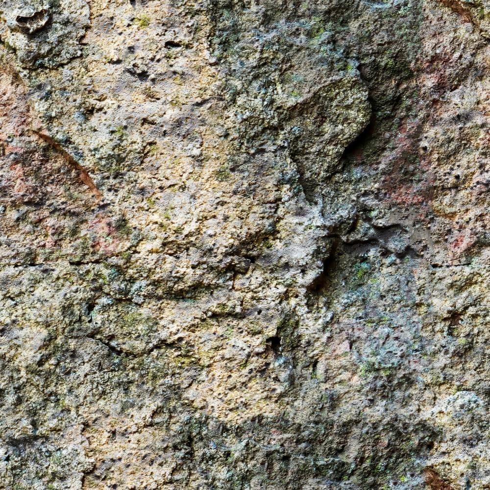 Signs You Need Mold Removal in Fairfield CT