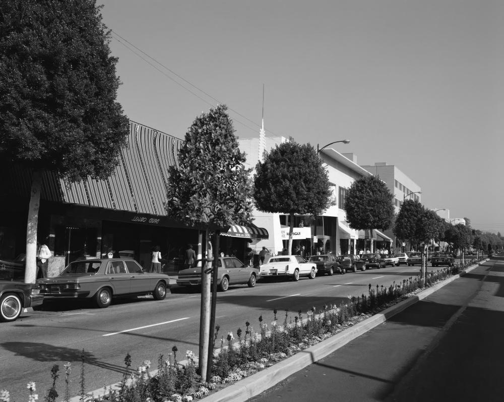 What Are the Common Plumbing Challenges in West Hollywood?