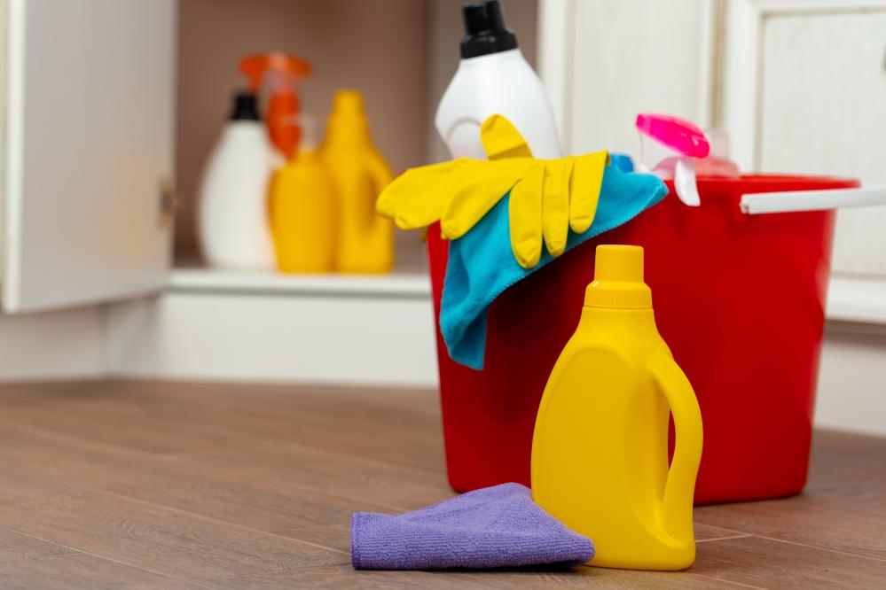 Diverse Cleaning Services Offered by Cleenora