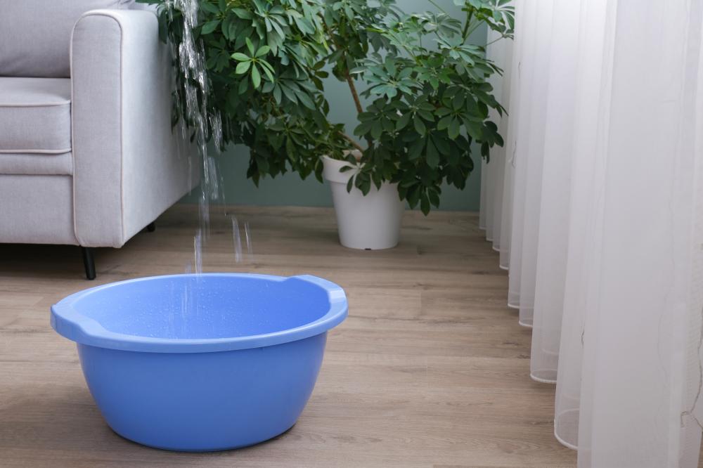 Why Local Services Matter