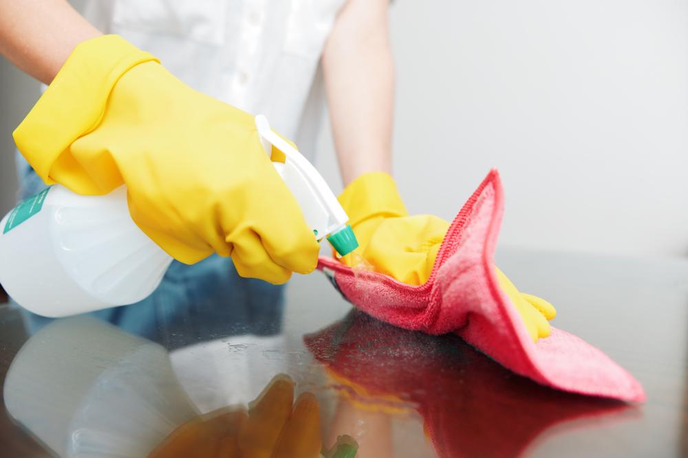 Personal Experiences with Green Cleaning