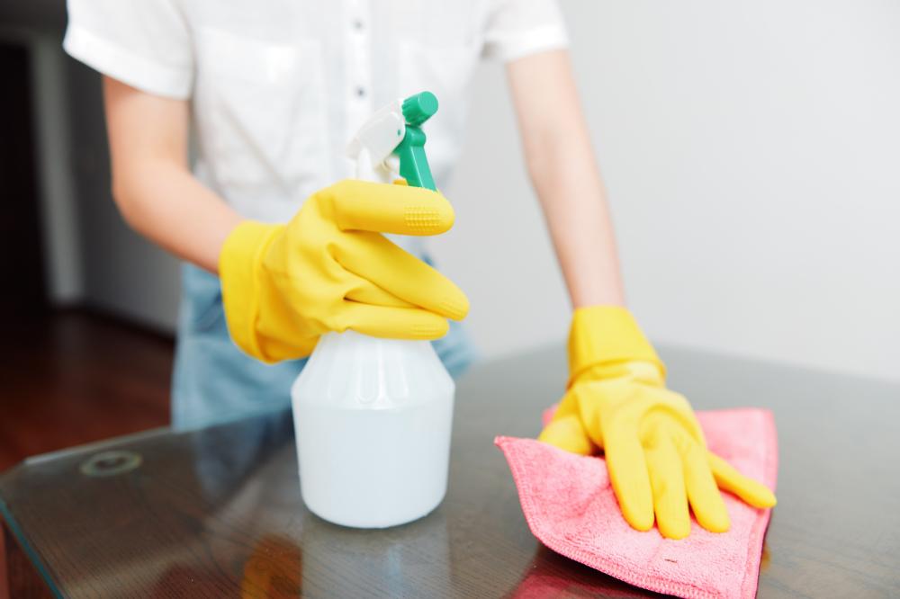 Benefits of Professional Cleaning Services