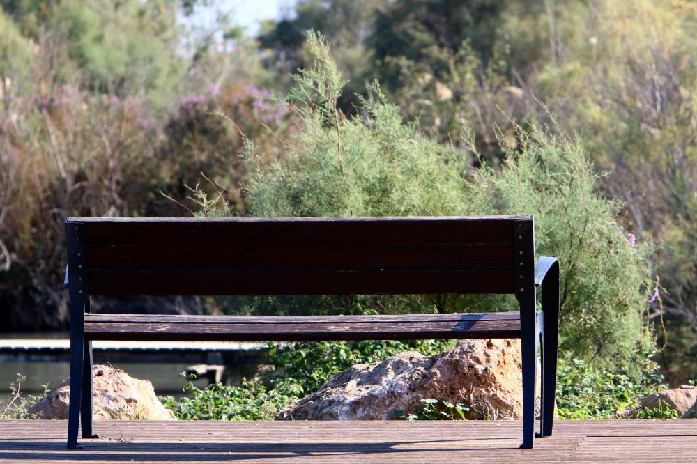 Considerations for Selecting Park Benches