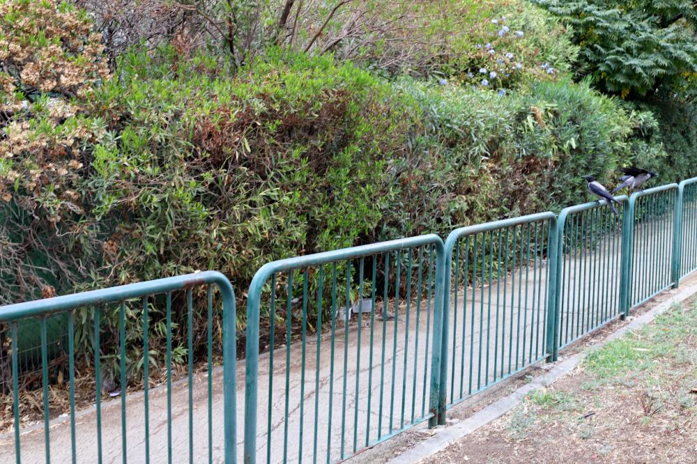 The Role of Wrought Iron in Security Gates