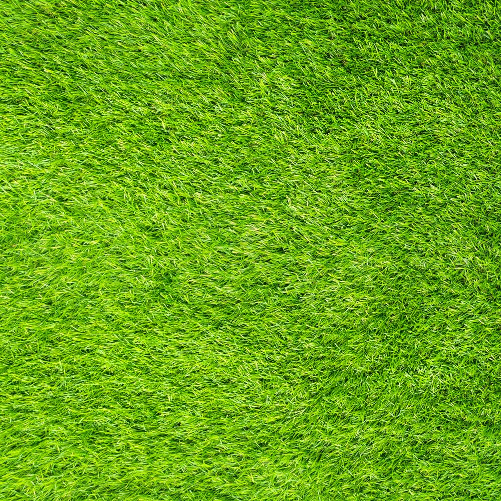 Explore the Diverse Benefits of Artificial Turf Chilliwack