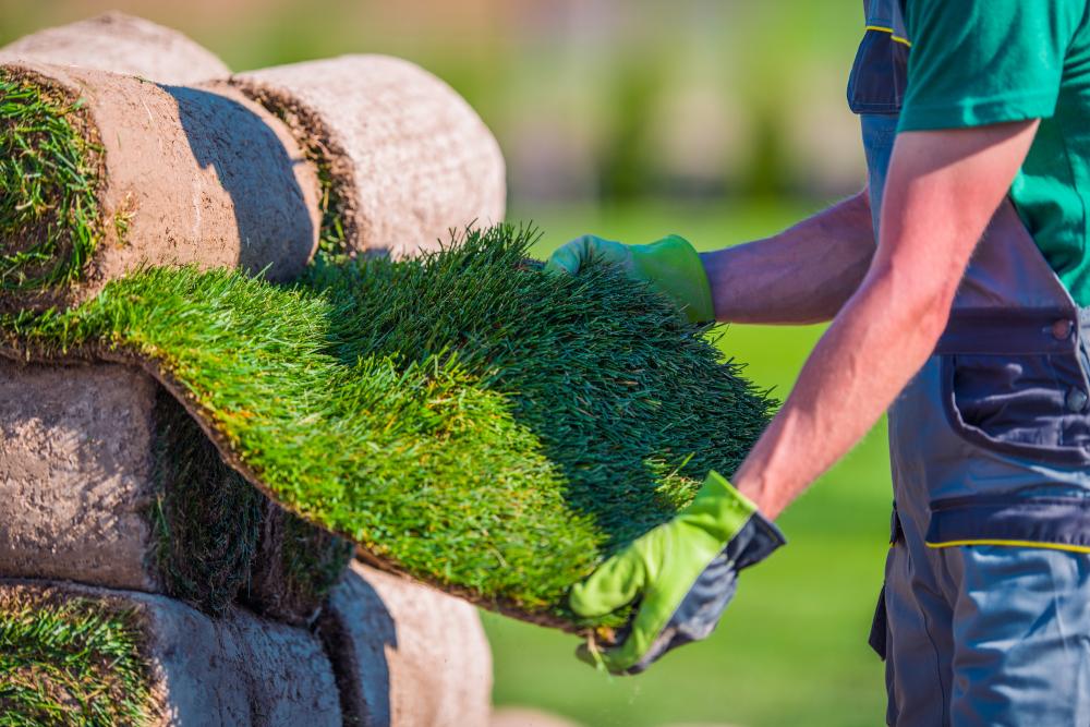 Quality check of lush artificial turf in Columbus, Ohio