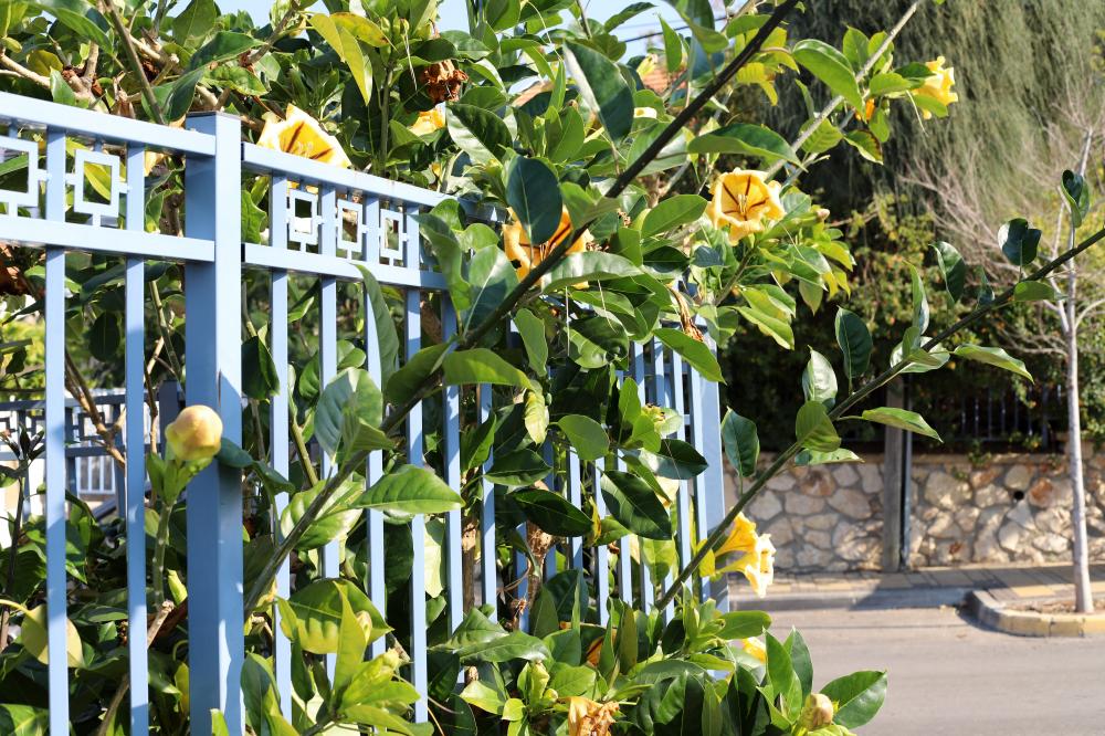 Integrating Security Systems with Gates