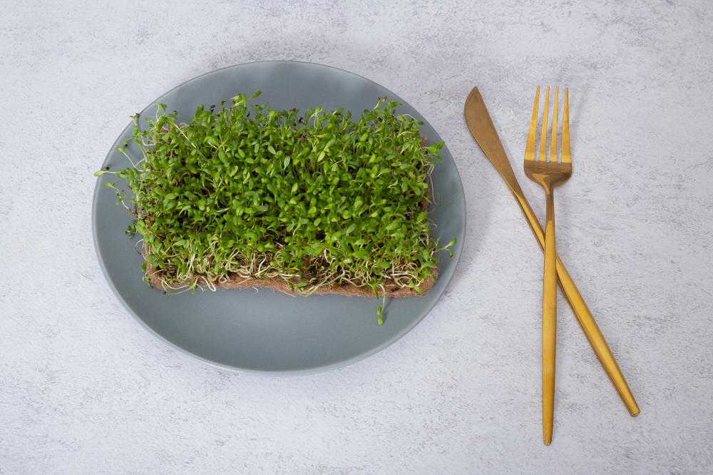 Incorporating Microgreens into Your Diet