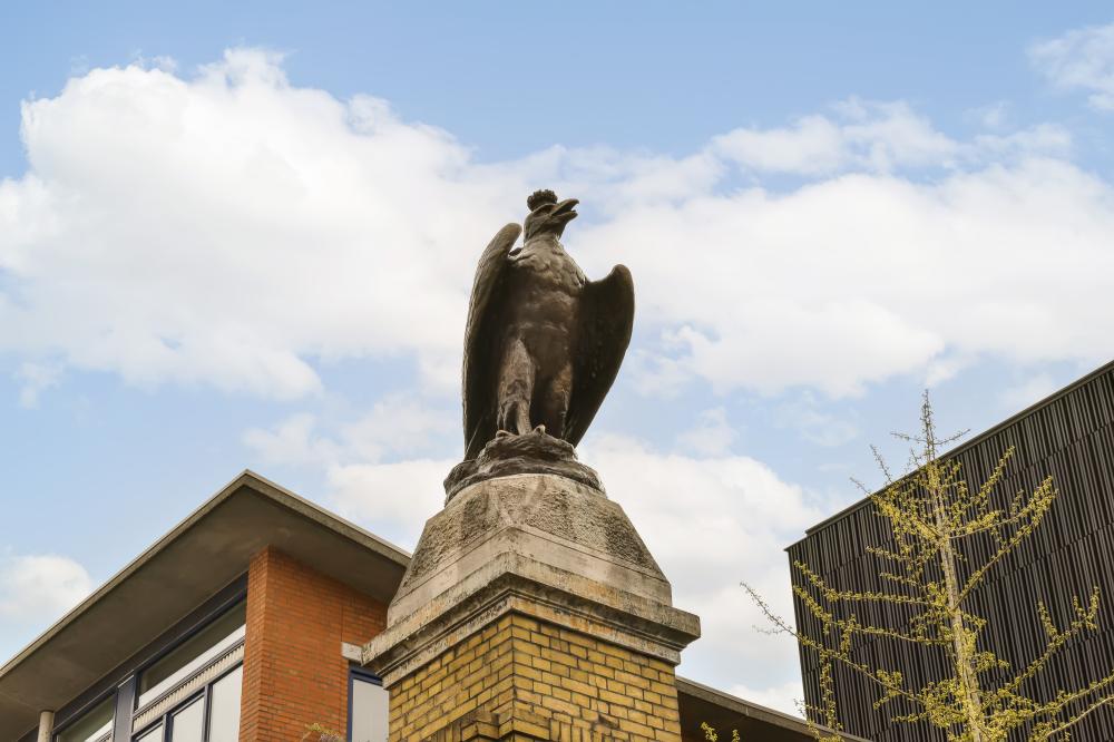 What Should You Consider When Choosing a Bronze Eagle Statue?